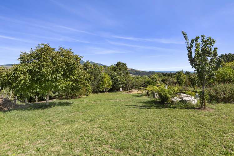 11 Somerset Lane Raglan_6