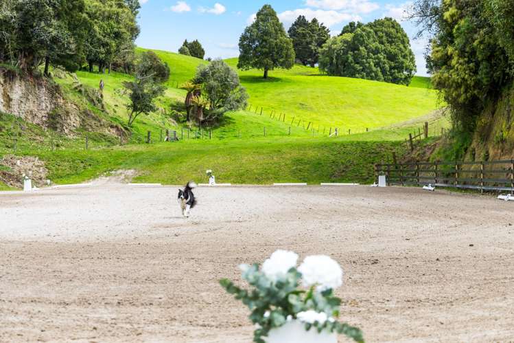 Lot 1,1278 Poihipi Road Oruanui_10