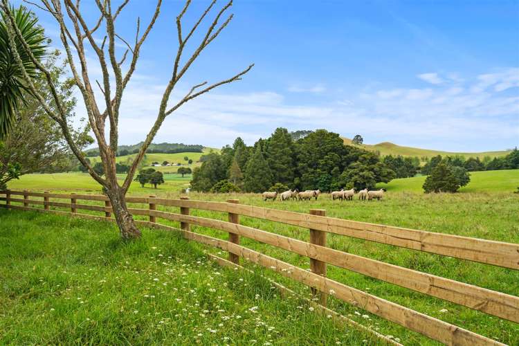 120 Springs Road Poroti_1