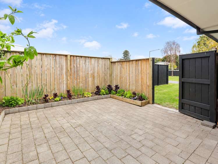 17A Selwyn Street Tauranga_10