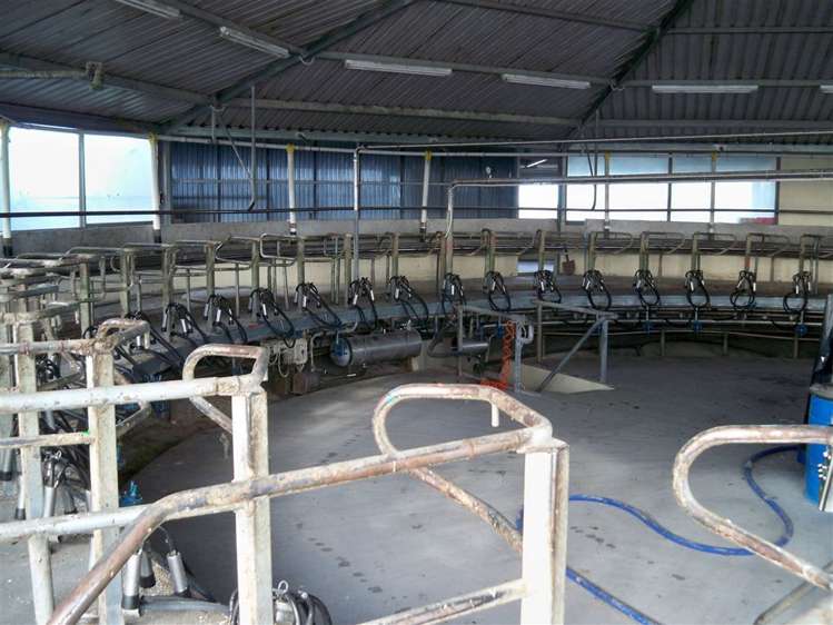 449 Greenpark Road Springston_6