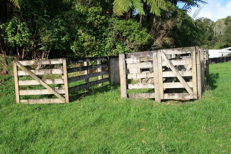 562 Frankley Road Hurworth_7