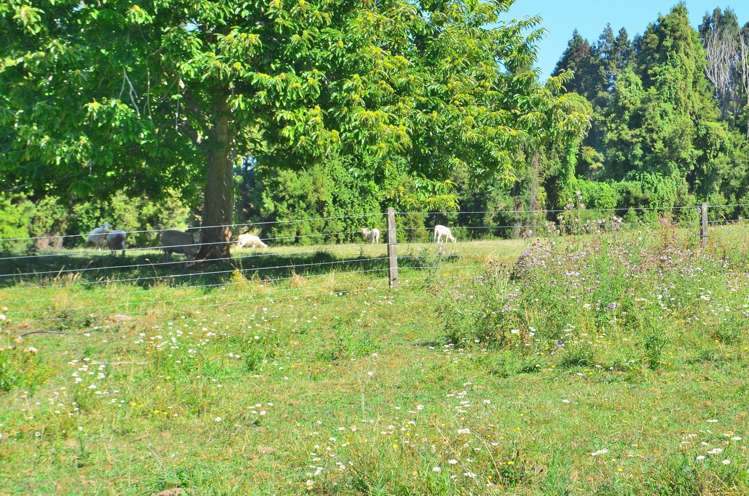 2 Peers Road Kaimai_27