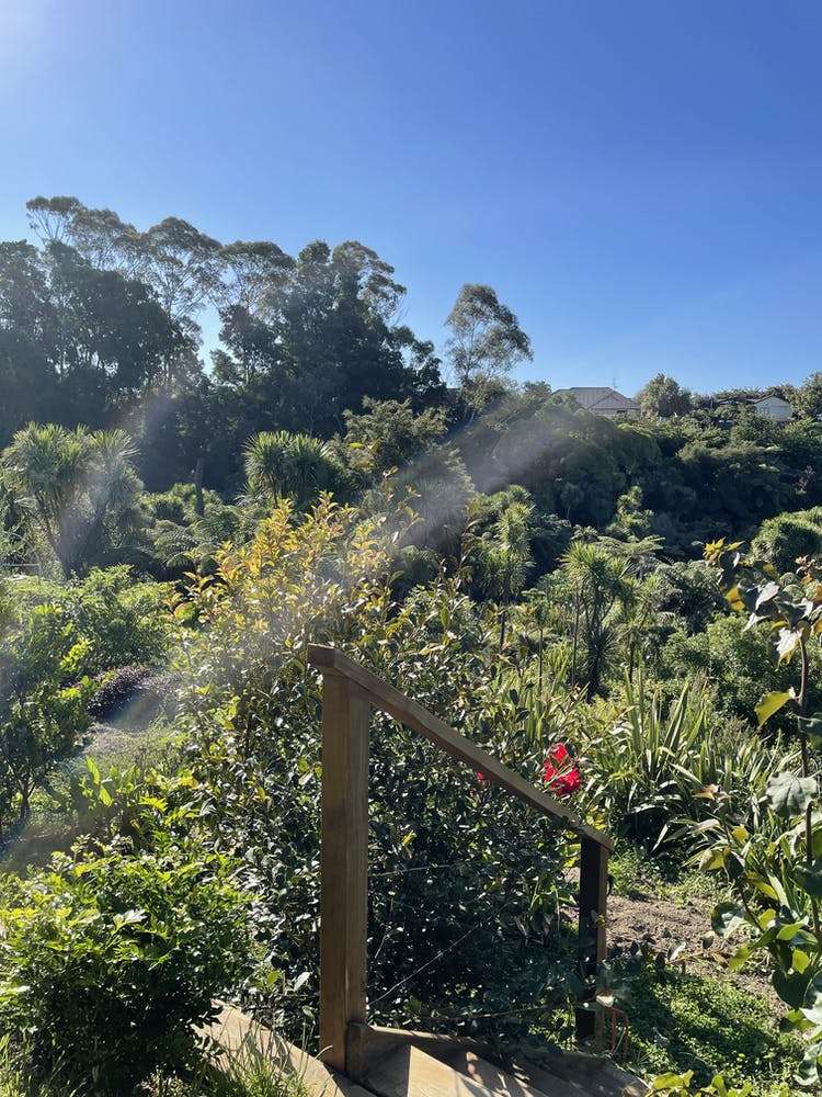 14 Saint Clements Grove Bethlehem_7