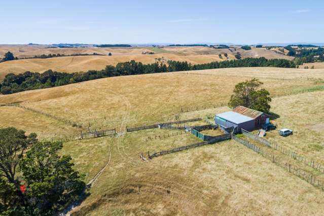 2262 Makino Road Halcombe_3