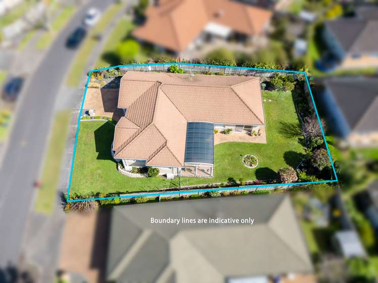 5 Highfields Terrace Henderson_21