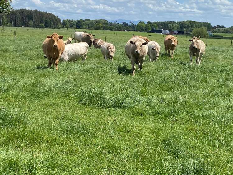 770C Gordonton Road Gordonton_29