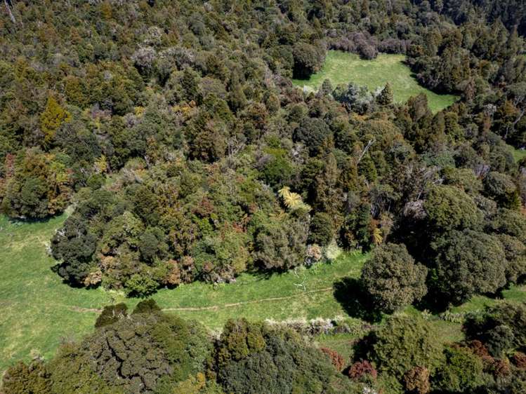 205 Mangaturuturu East Road National Park_11