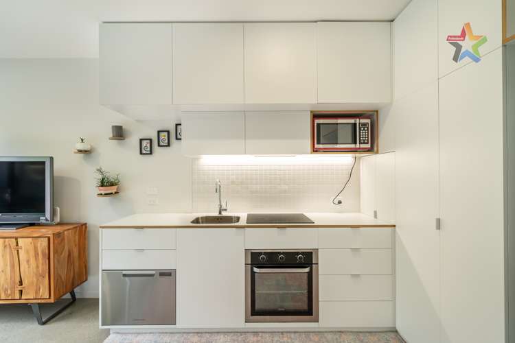 15 Te Ara O Paetutu Petone_9