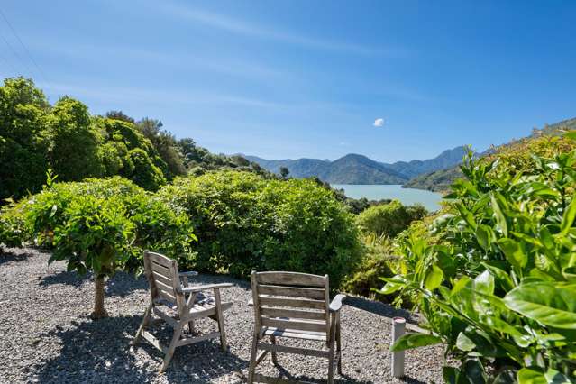 784a Queen Charlotte Drive Havelock_4