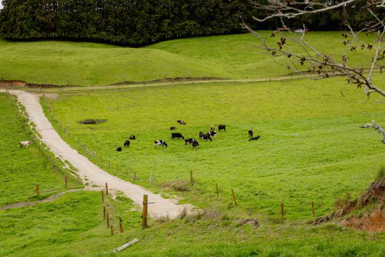 936 Pongakawa Bush Road Pongakawa_18
