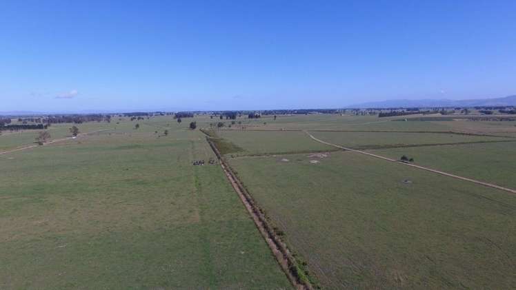 214 Fisher Road Paeroa_7