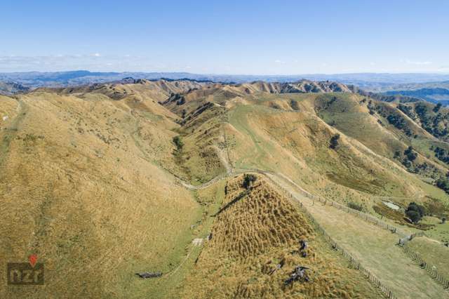 250 Makino Road Rangitikei Surrounds_2