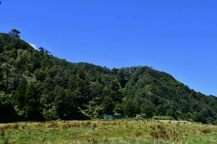 1/Lot 1 Kongahu Road Little Wanganui_14