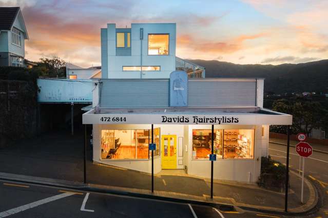 40 Pitt Street Wadestown_1