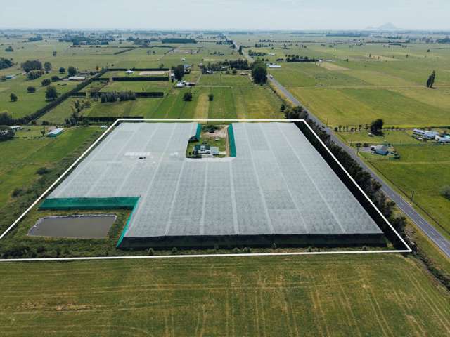 206 Awaiti South Road Otakiri_4