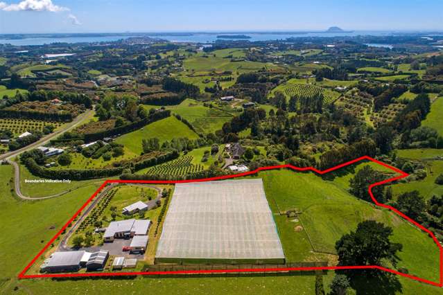 108d Plummer Road Whakamarama_4