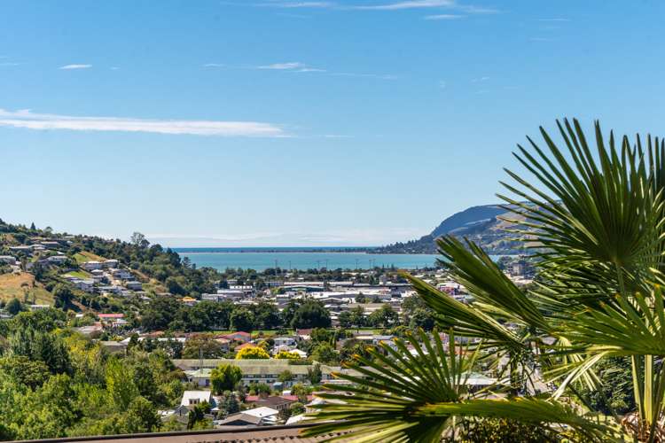 39 Jenner Road Toi Toi_22