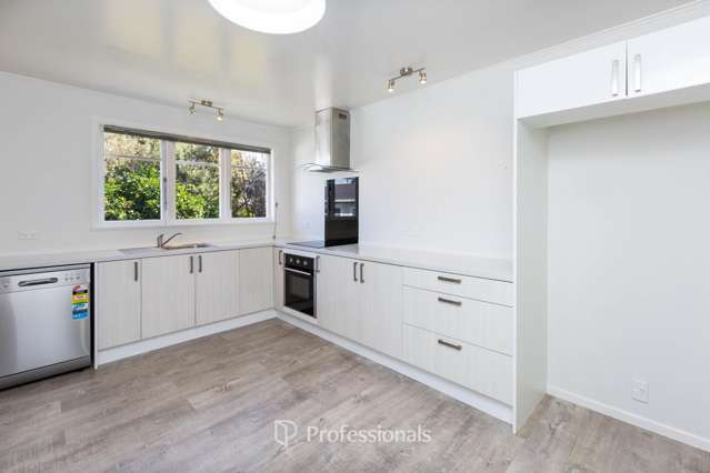 21 Totara Park Road Clouston Park_4