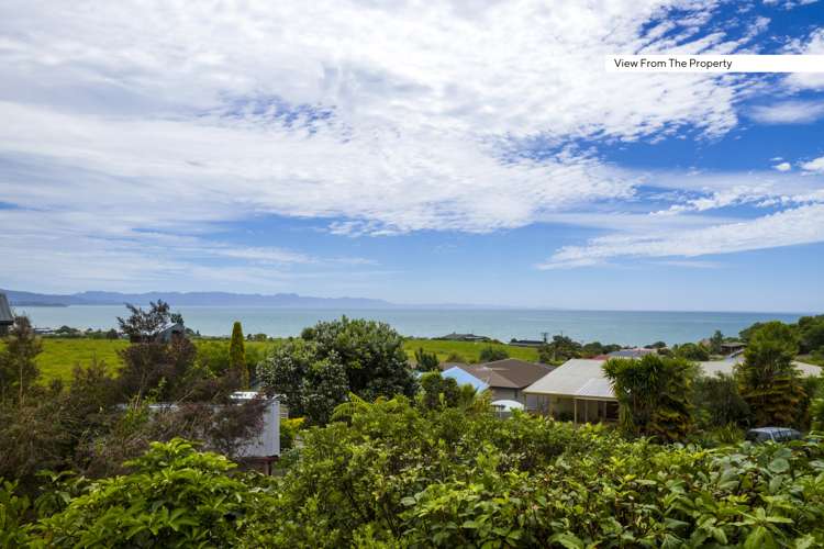 2 Kowhatu Grove Kahurangi National Park_4