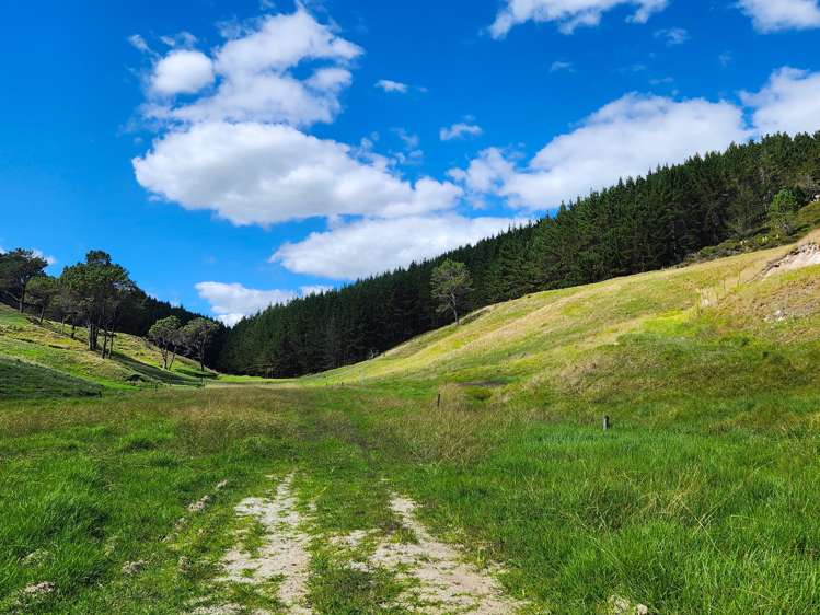 Babylon Coast Road Dargaville_20