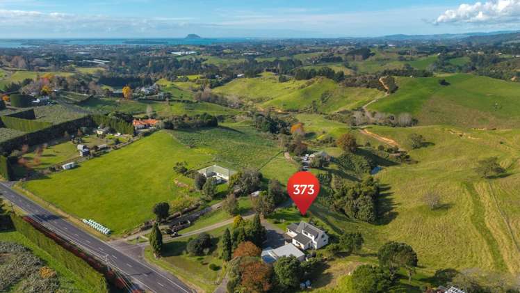 373 Esdaile Road Whakamarama_23