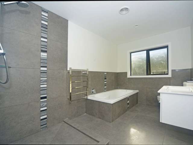 11a Montgomery Street Levin_2