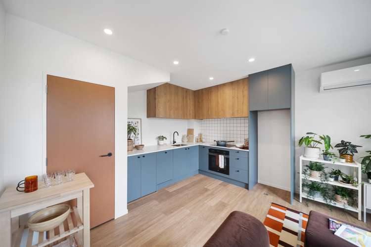 13 Pikotoetoe Lane_5