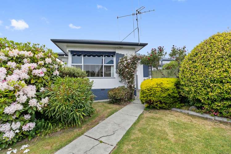 62 Evans Street Maori Hill_13