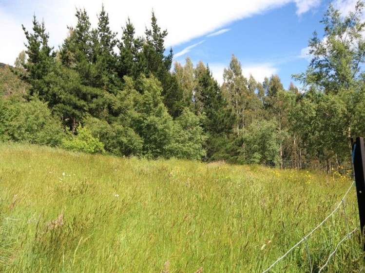 250 Glentui Bush Road Glentui_8