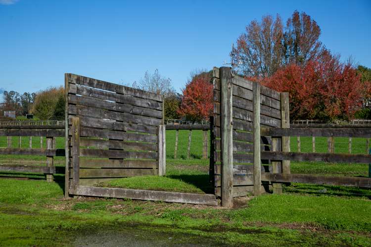 93 Duncan Road Tamahere_25