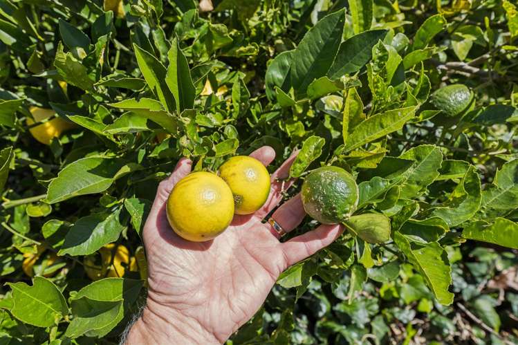 2079 Gordonton Road Taupiri_27