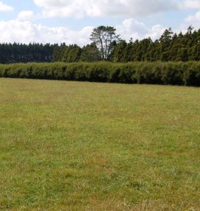 749 Waitakere Road Kumeu_1