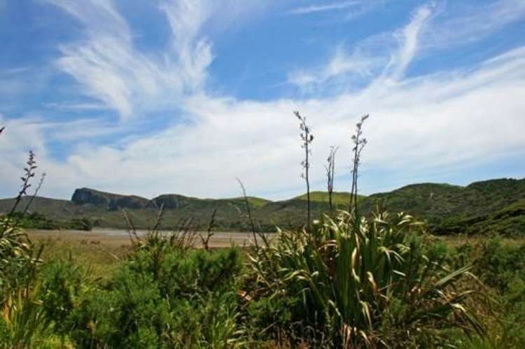 8 Freeman Access Kahurangi National Park_17