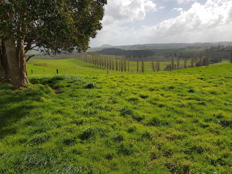 7045 State Highway 1 Pakaraka_10