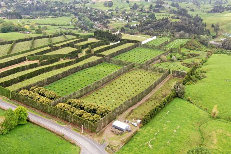 211 Pukekauri Road_0