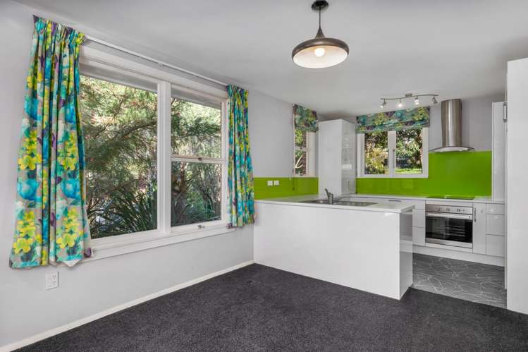 38 South Terrace Picton_8