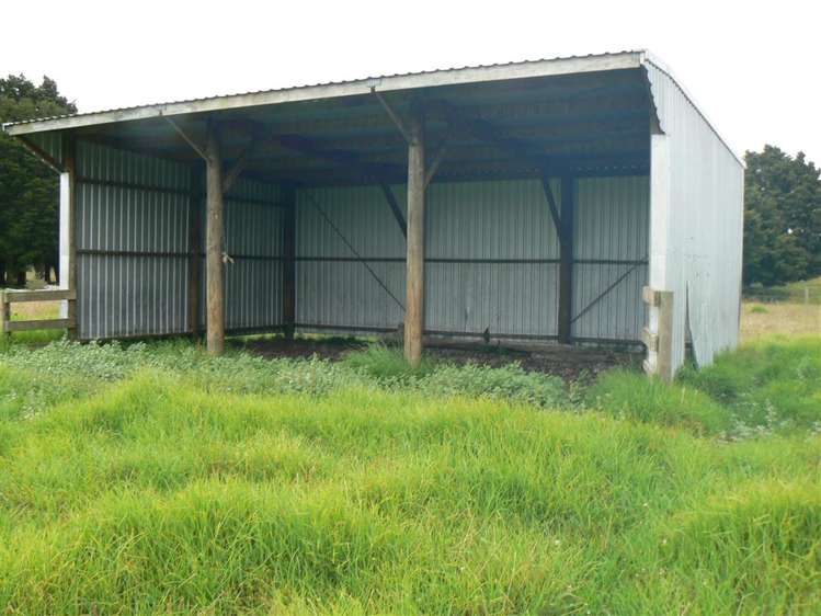 State Highway 12 Kaikohe_1