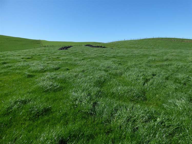 546 Ngutunui Road Otorohanga_26