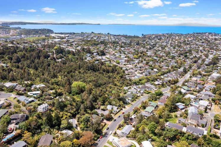 9 Awaruku Road Torbay_21