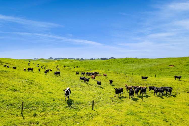 0n Parihaka Road Pungarehu_18