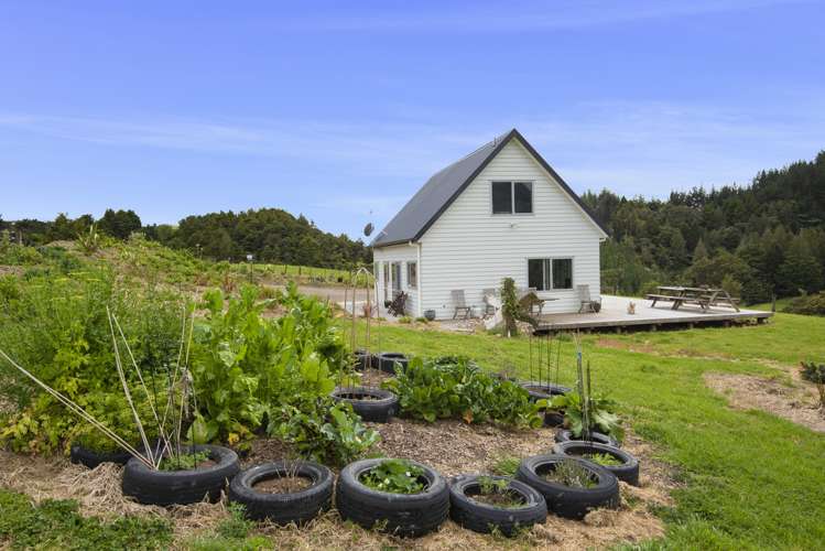 891 Springfield Road Mangapai and Surrounds_22