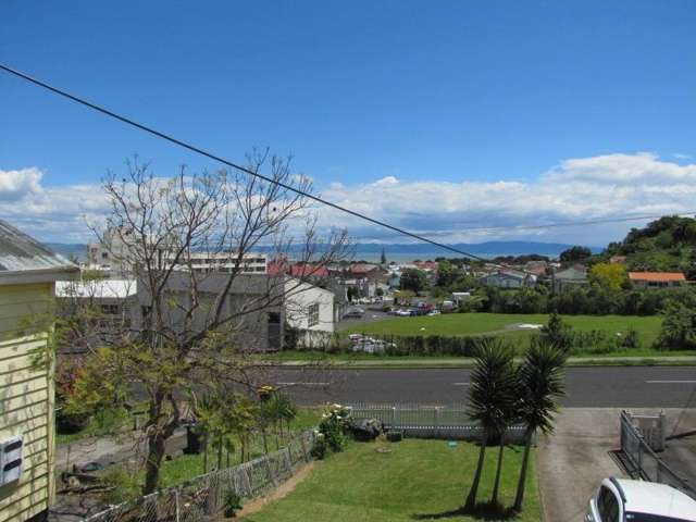 124 Karaka Road Thames_1