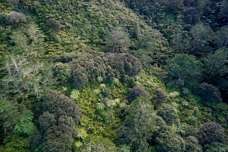 26 Dashper Drive Warkworth_29