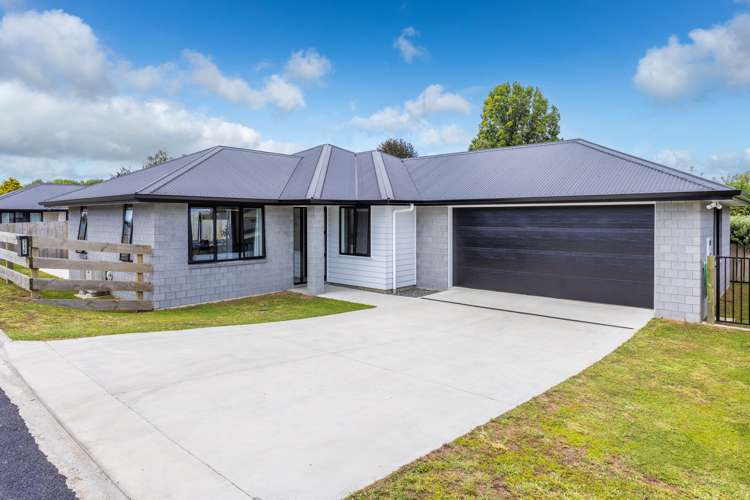 71F Hall Street Kihikihi_15