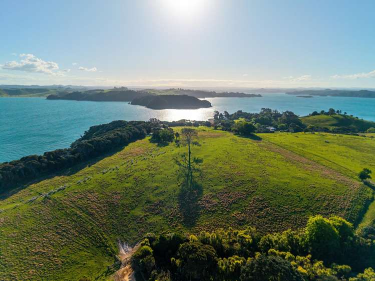 Share 18 Moturoa Island Russell_13