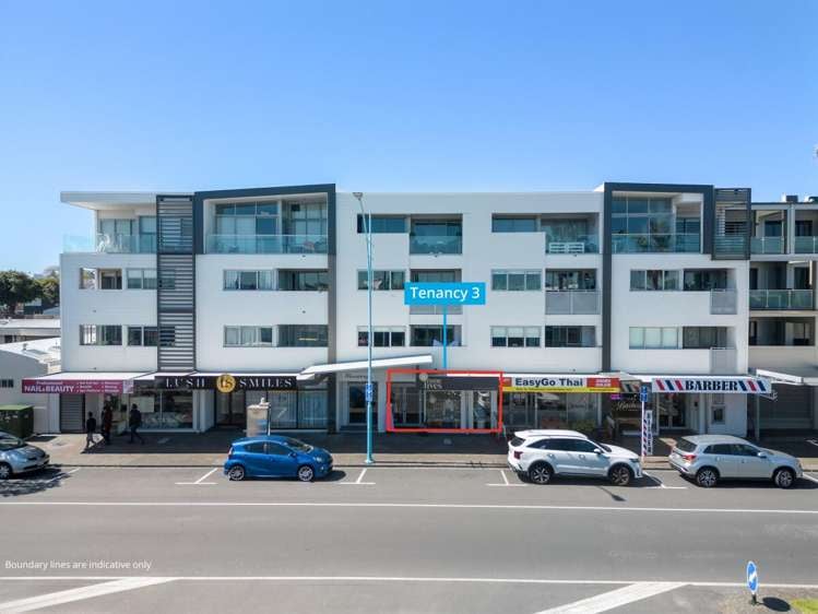 Tenancy 3, 277 Maunganui Road_0