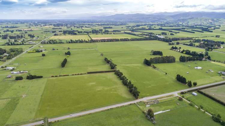 East Taratahi Road Carterton_3