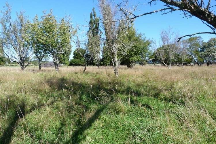 316 Wood Street Woodside_11