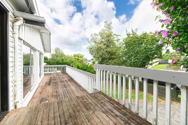 14 Laurel Street Mt Albert_17